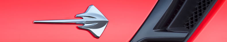 Stingray